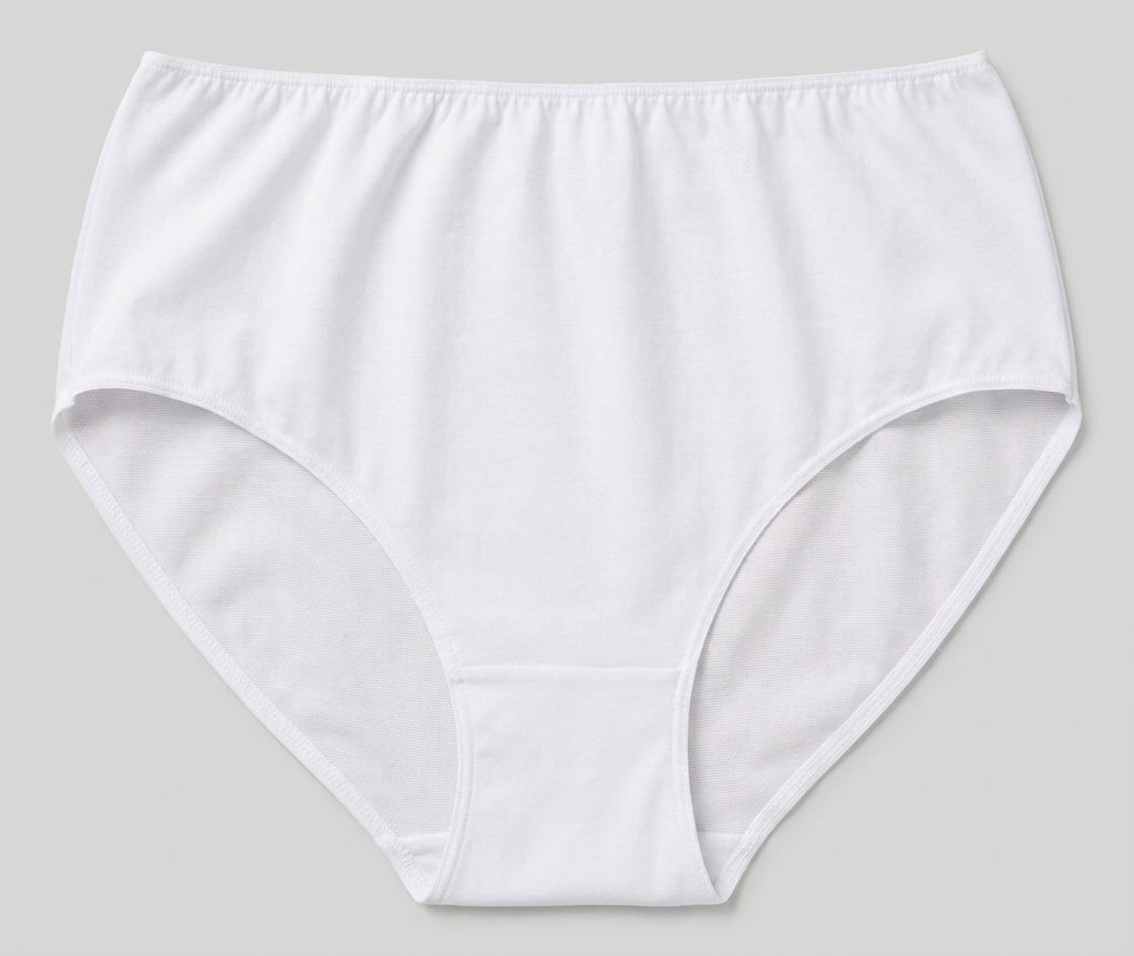 Women's Lycra Slip Underwear High-Waist (Doucette)