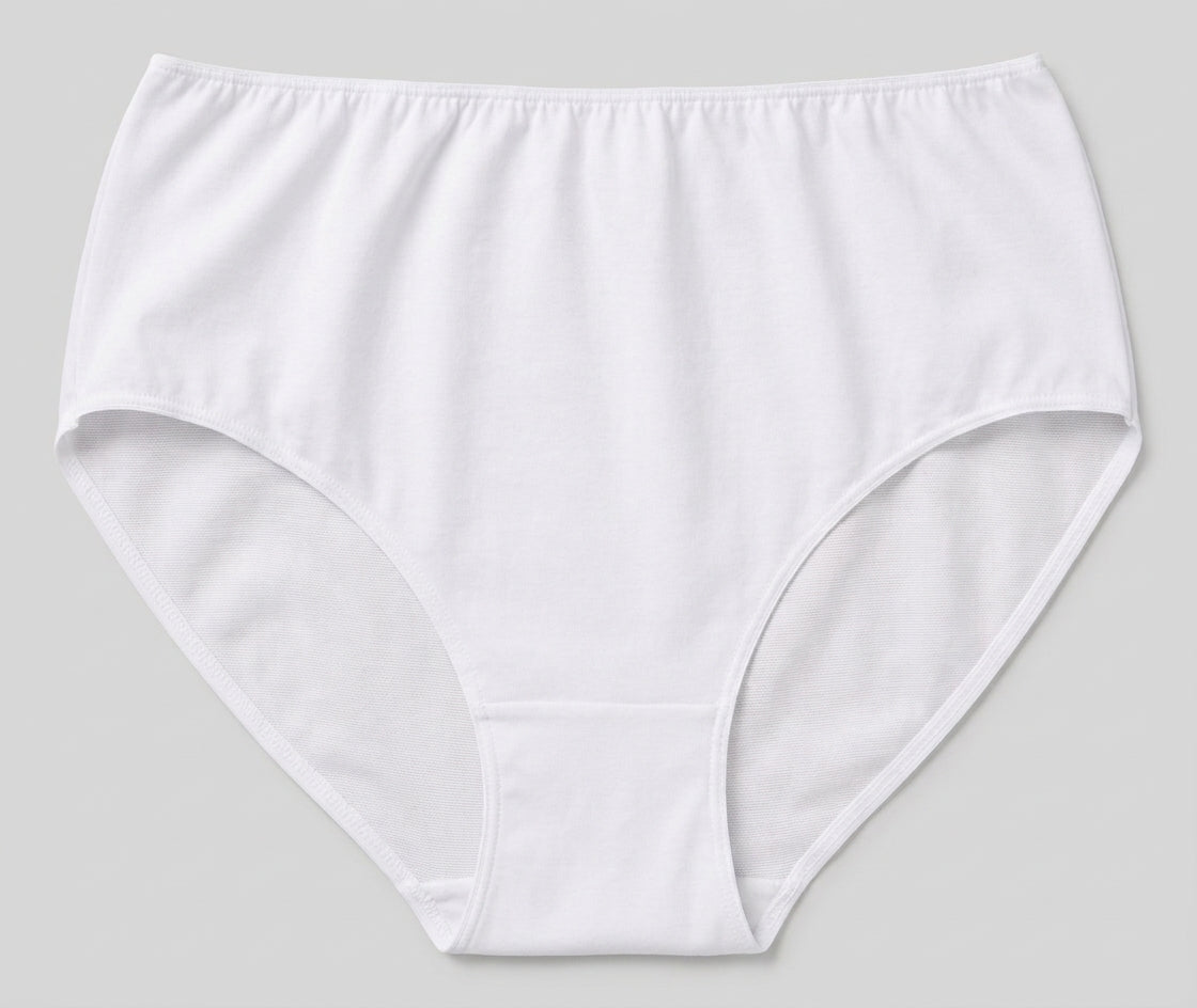 Women's Lycra Slip Underwear High-Waist (Doucette)